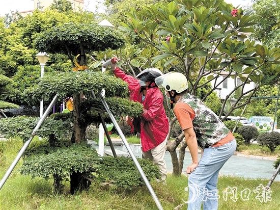 網(wǎng)格員與群眾合力，及時(shí)摘下“定居”在公園的馬蜂窩。