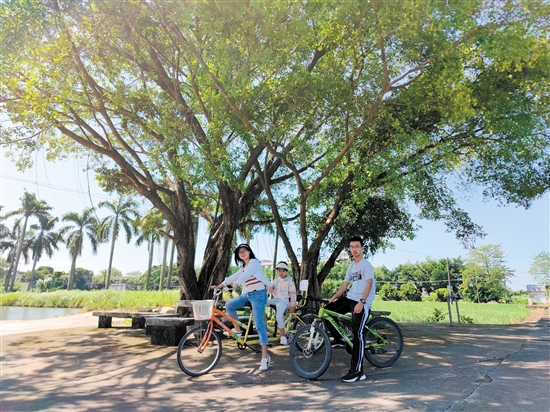 深圳游客在江門暢享“3.3精彩之旅”。