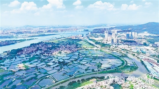 沙坪街道大力開展人居環(huán)境整治大行動(dòng)，在環(huán)境整治和風(fēng)貌提升上雙向發(fā)力，運(yùn)用“加減法”做好鄉(xiāng)村風(fēng)貌治理，帶動(dòng)各村（社區(qū)）人居環(huán)境“顏值”再提升。