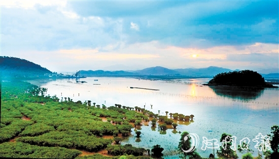恩平擁有大灣區(qū)連片面積最大的紅樹林——約373.33公頃（5600畝）鎮(zhèn)海灣紅樹林。