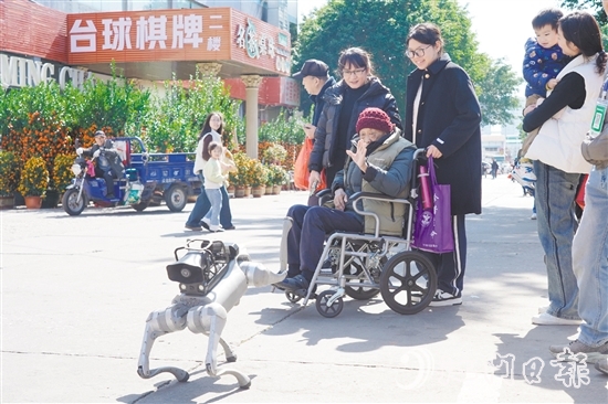 電子警犬與市民友好互動。