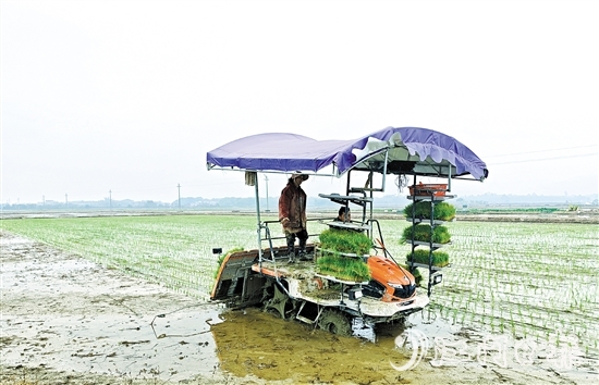 沖蔞鎮(zhèn)推進(jìn)農(nóng)業(yè)機(jī)械化，為春耕生產(chǎn)提供有力保障。