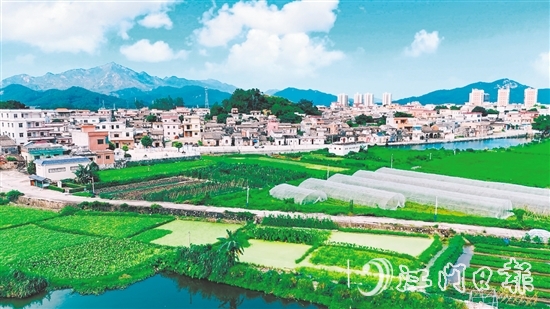 汶村鎮(zhèn)沙奇村通過(guò)深耕特色農(nóng)業(yè)、強(qiáng)化黨建引領(lǐng)、創(chuàng)新基層治理，實(shí)現(xiàn)從“臟亂差”到“綠富美”的華麗蝶變。