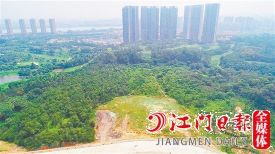 蓬江區(qū)豬乸環(huán)地段地塊實景圖。