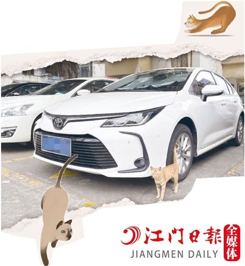 車主停車時(shí)，盡量減少停在流浪貓出沒的地方。